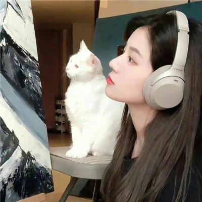 历尽沧桑一美人续集
