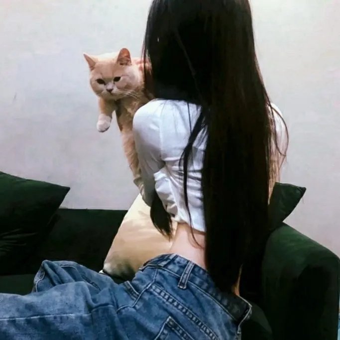 狼的召唤